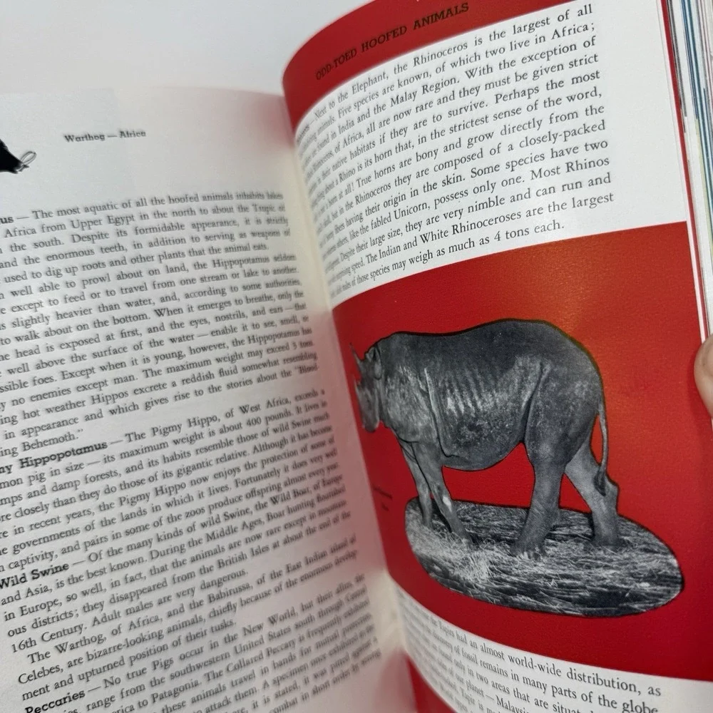 1953 Philadelphia Zoo Guide Book Map Roger Conant Vintage Zoological 9th Edition